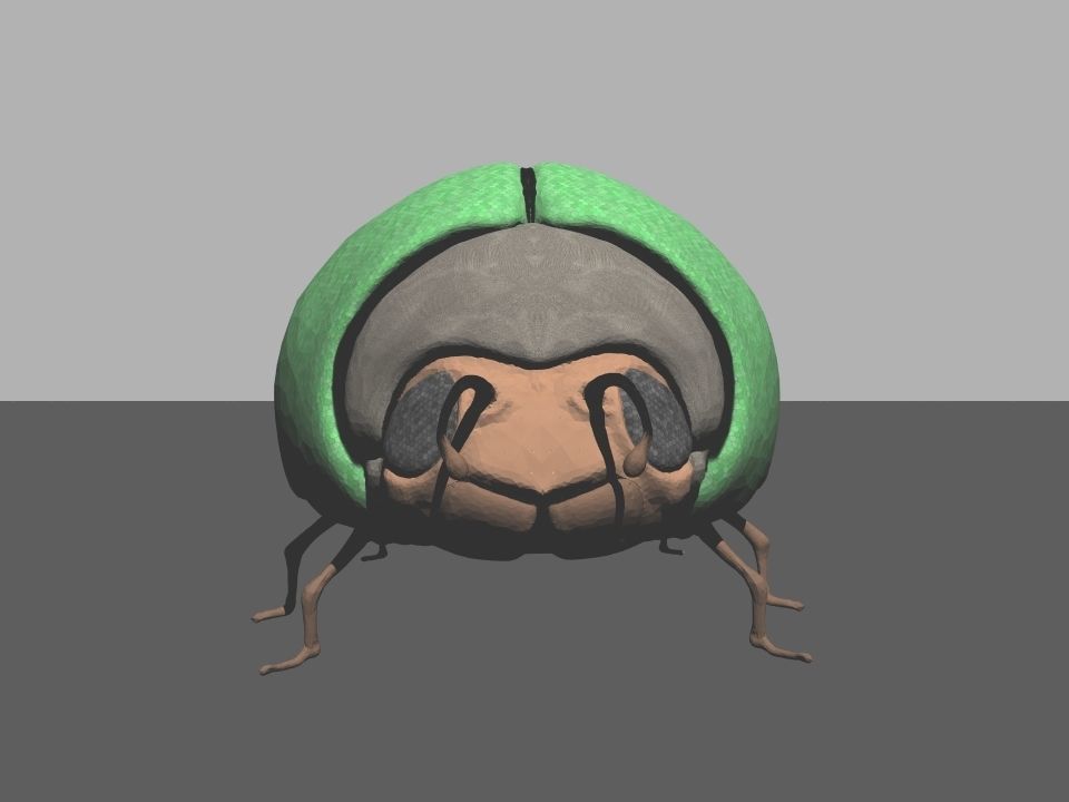 Beetle1 beetle Free 3D model_9