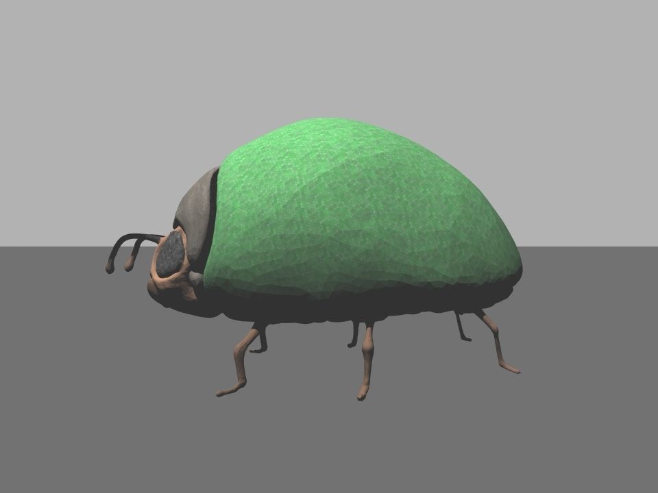 Beetle1 beetle Free 3D model_8