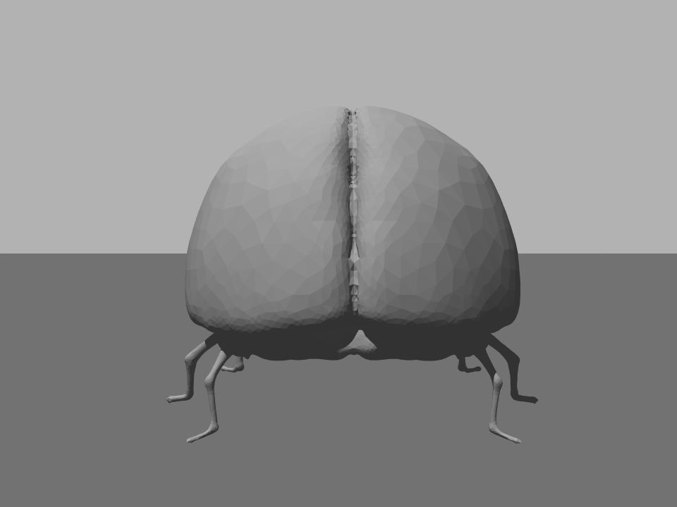 Beetle1 beetle Free 3D model_5