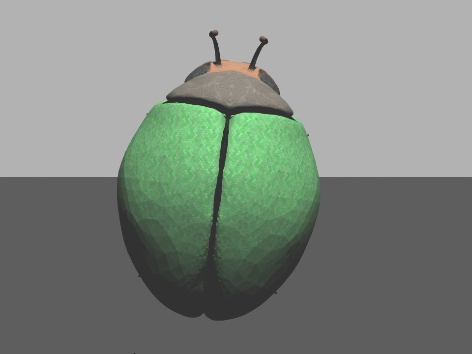 Beetle1 beetle Free 3D model_1