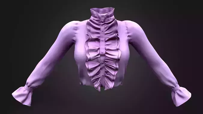 High Neck Tucked In Long Sleeves Victorian Blouse Shirt