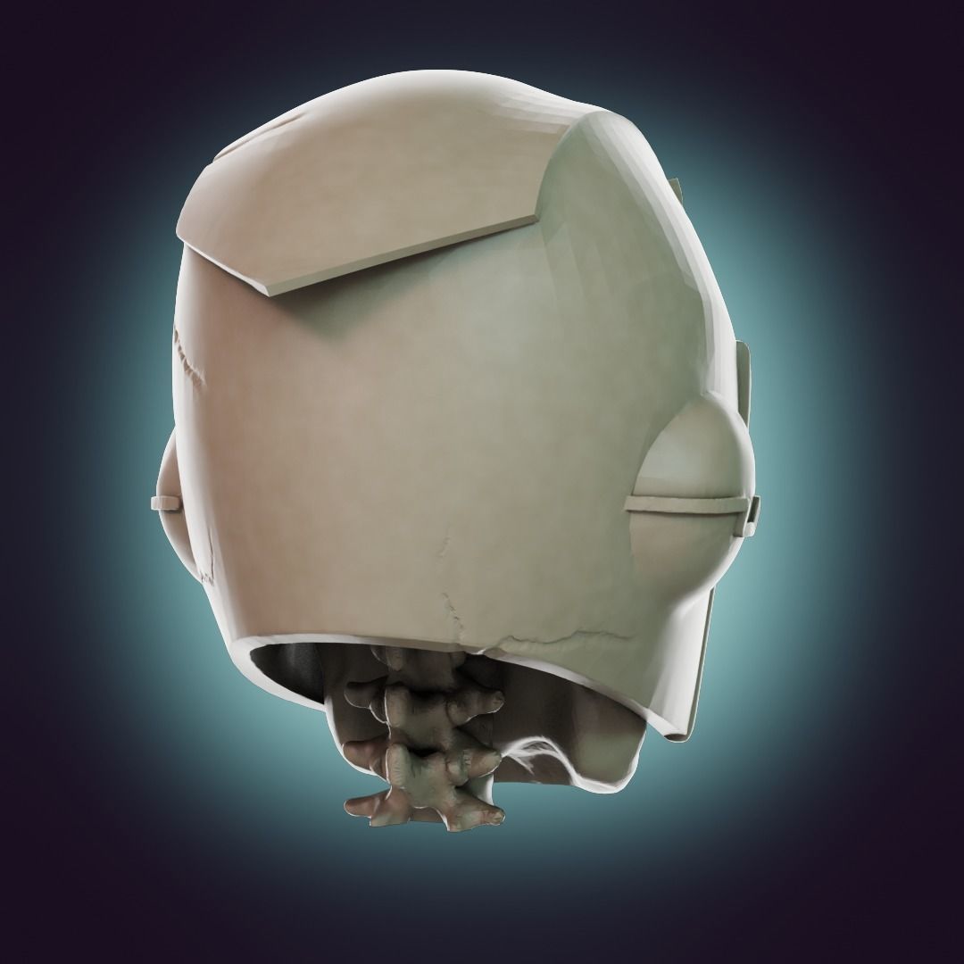  Captain Falcon Skull Helmet 3D print model_29