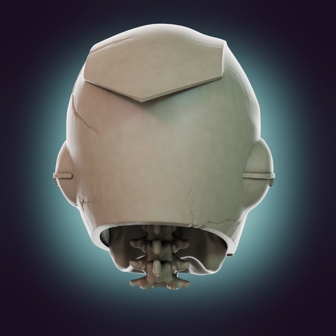  Captain Falcon Skull Helmet 3D print model_27