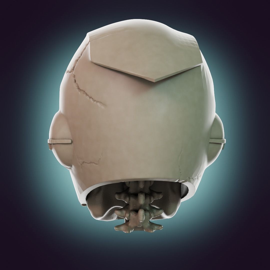  Captain Falcon Skull Helmet 3D print model_25