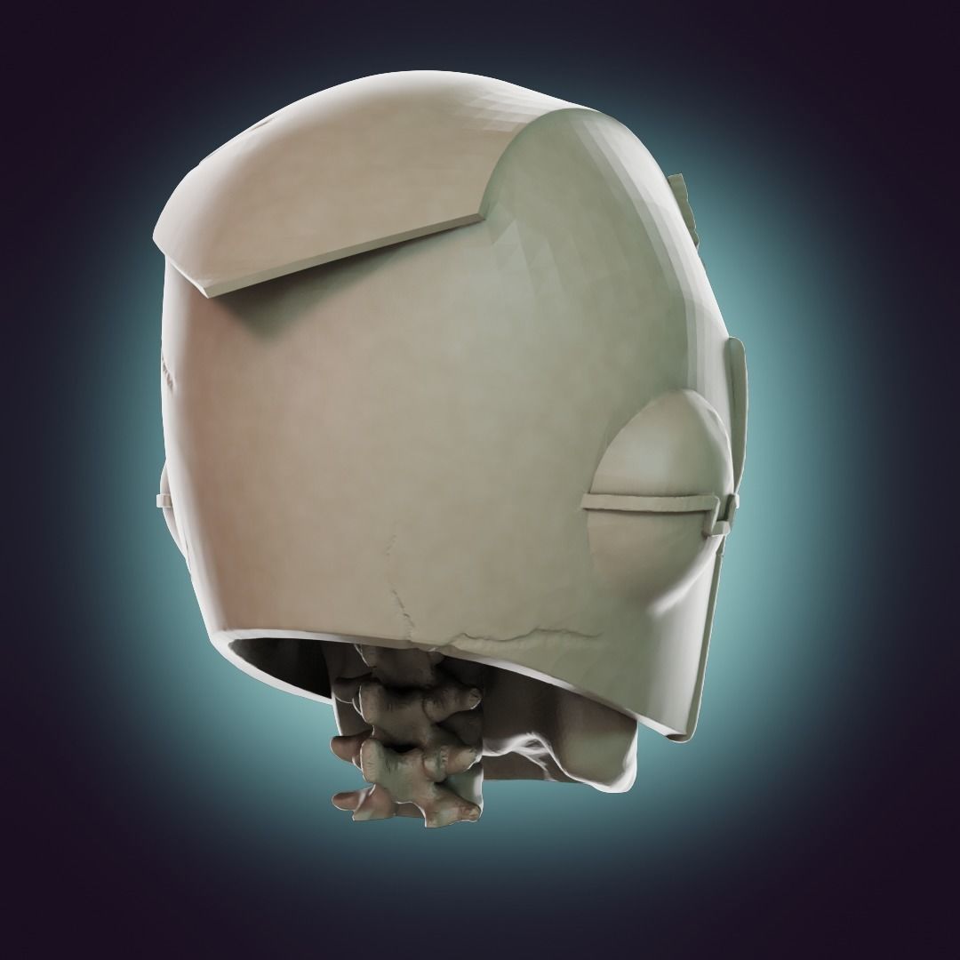  Captain Falcon Skull Helmet 3D print model_30