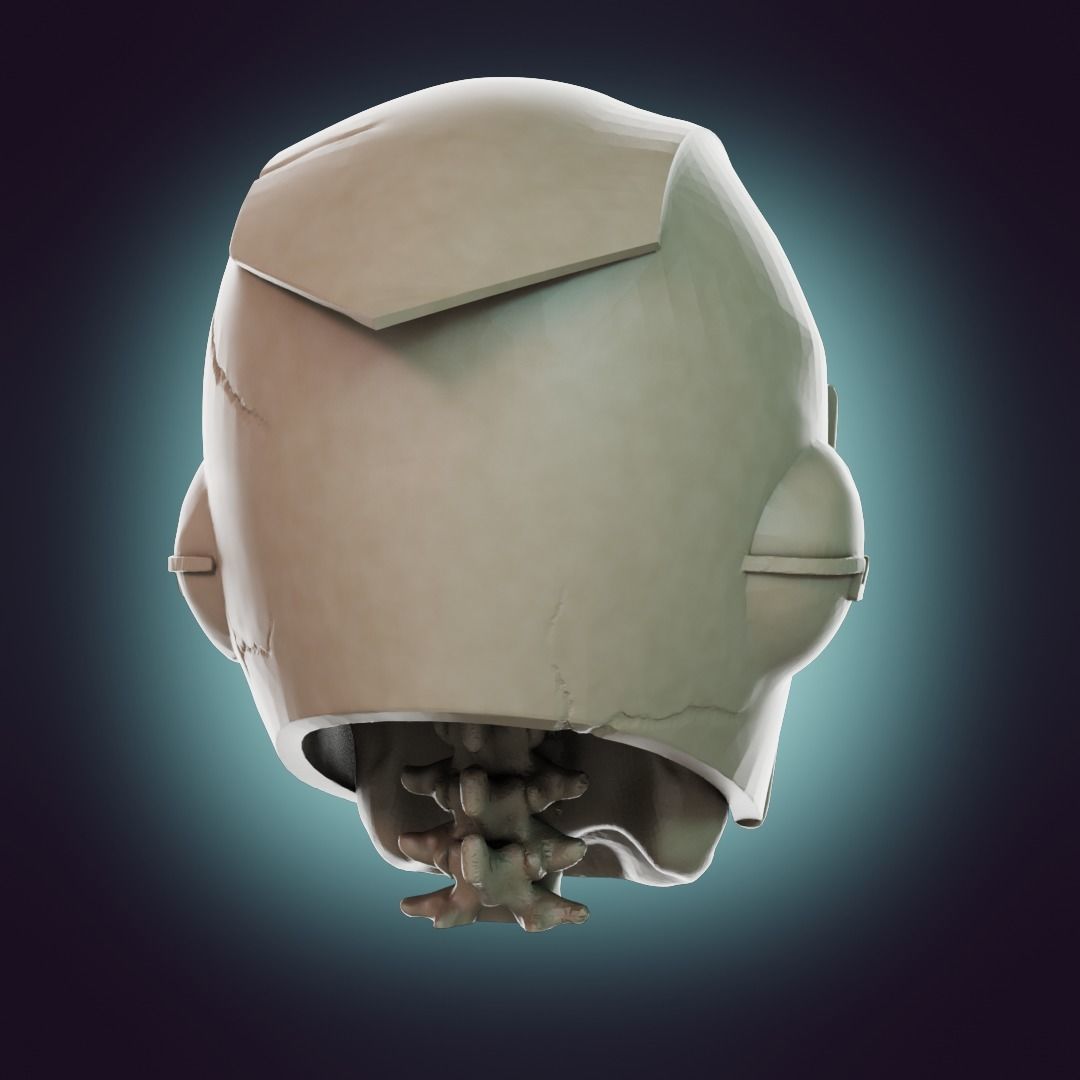  Captain Falcon Skull Helmet 3D print model_28