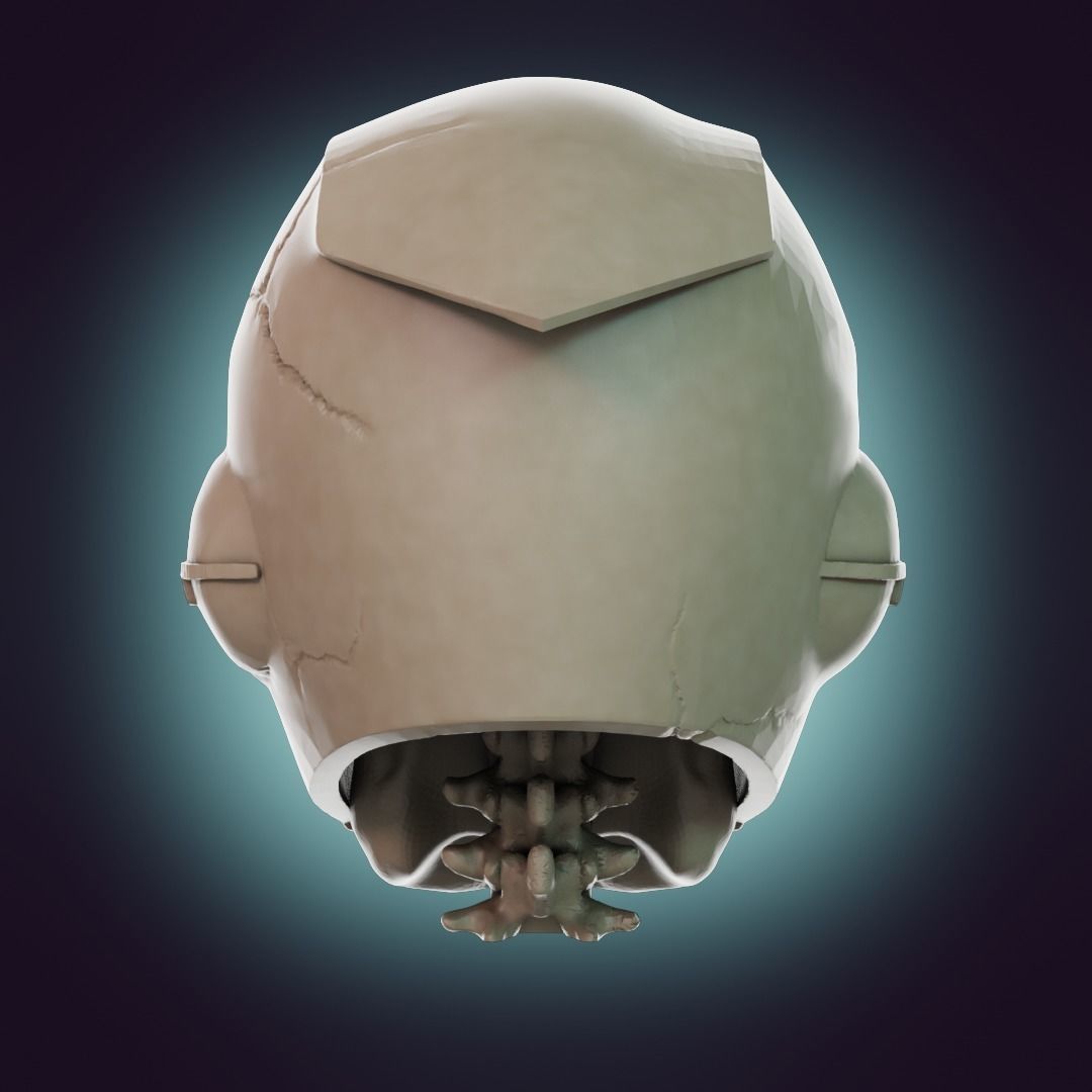  Captain Falcon Skull Helmet 3D print model_26