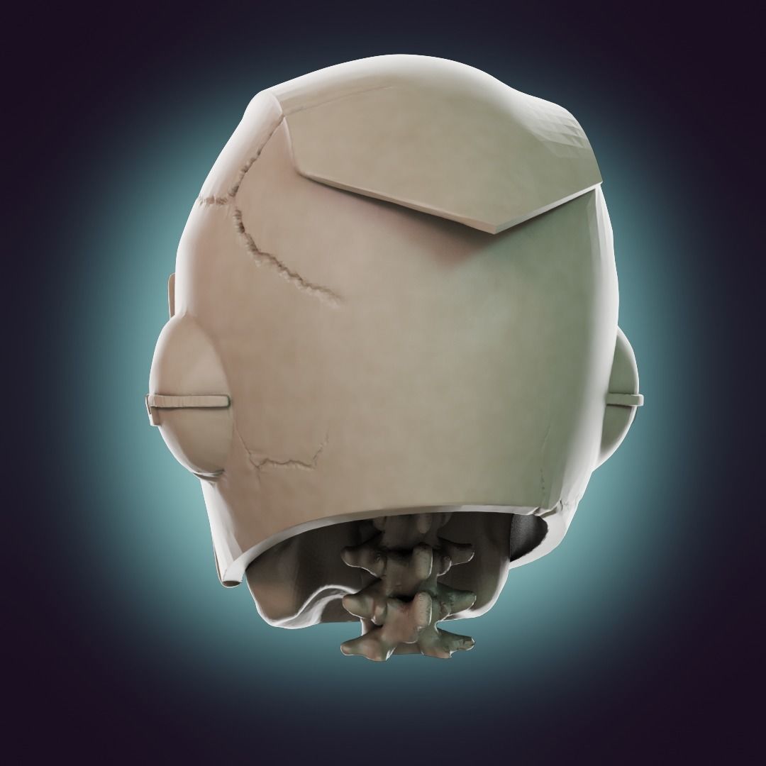  Captain Falcon Skull Helmet 3D print model_24