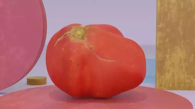 Tomato 08