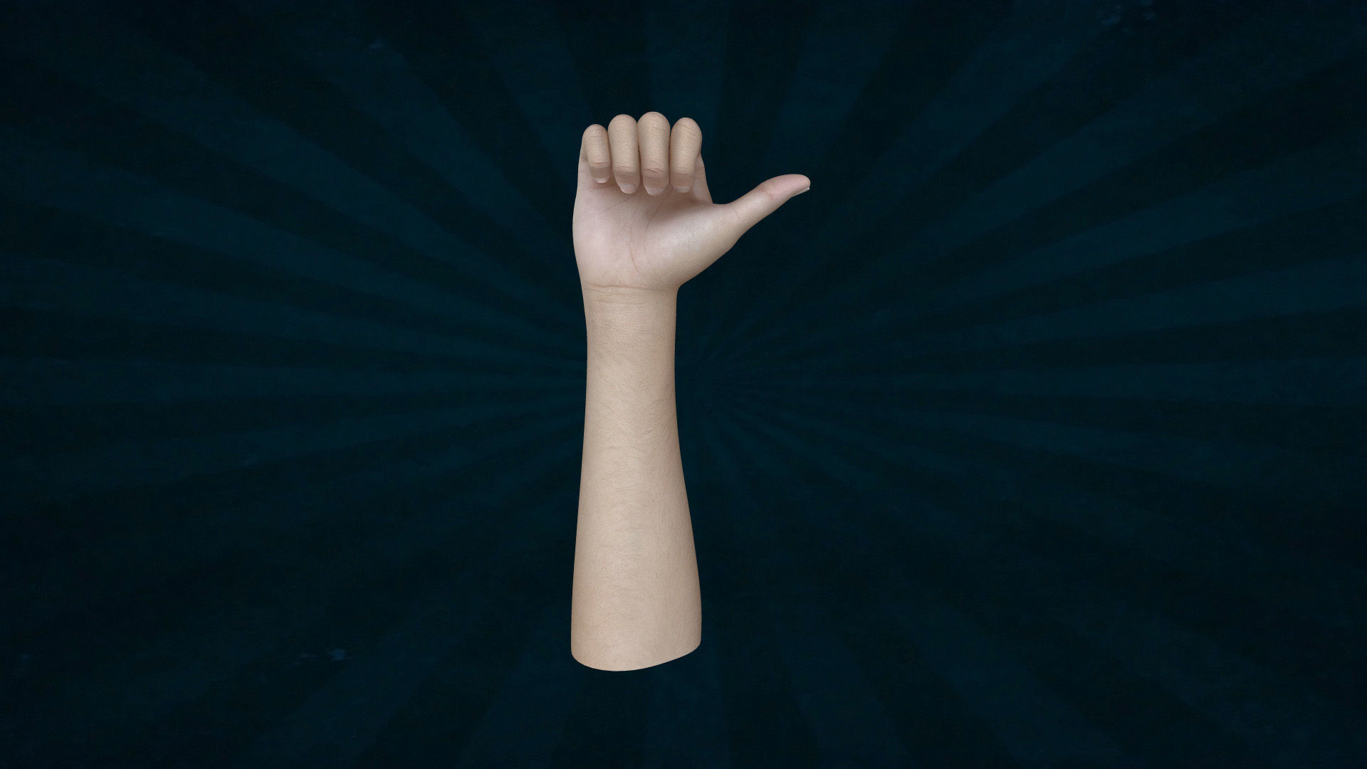 HAND-045 Rigged right hand 3D model_5