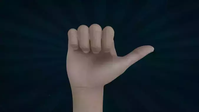 HAND-045 Rigged right hand 3D model