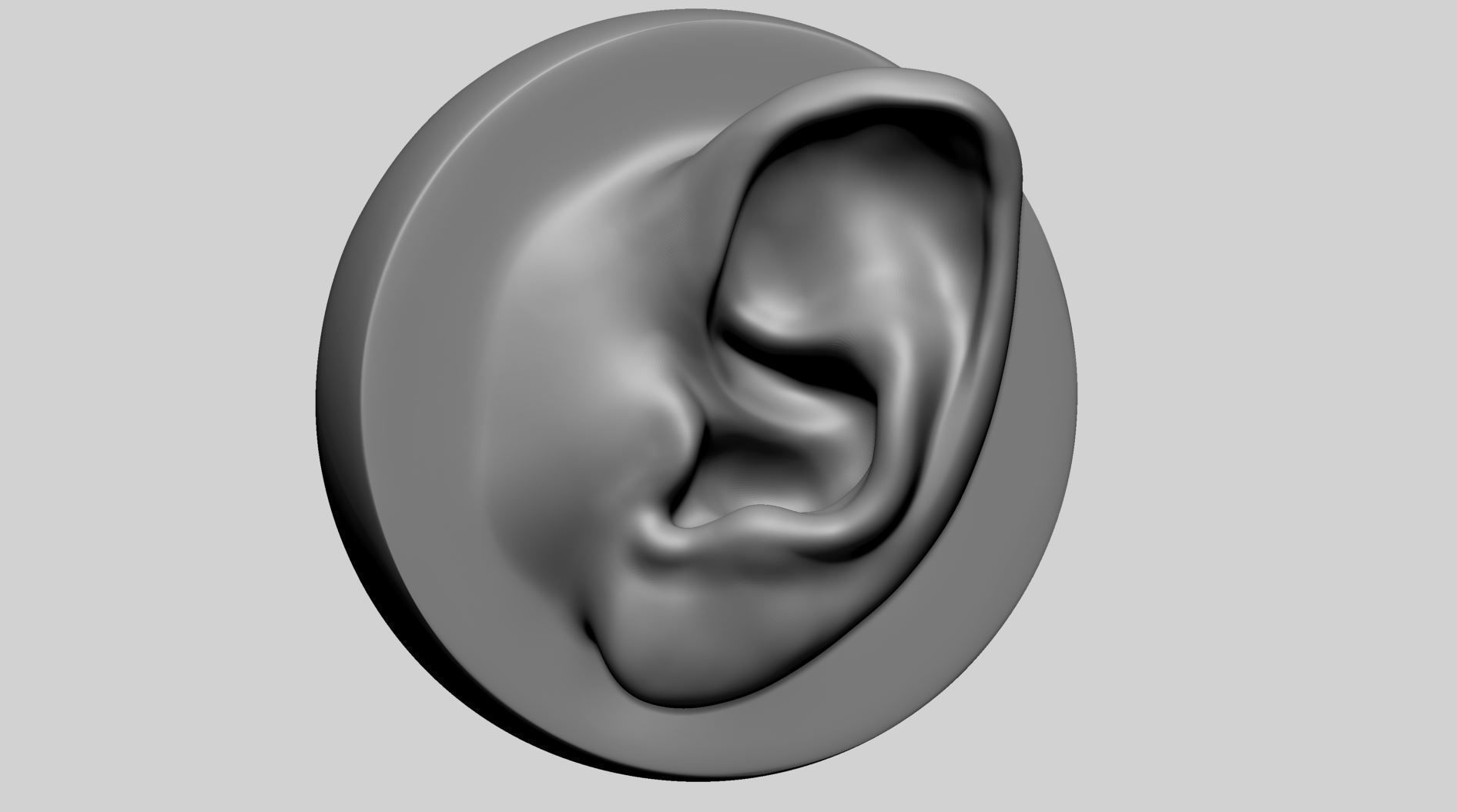 Ear Model with Different Types 3D model_5