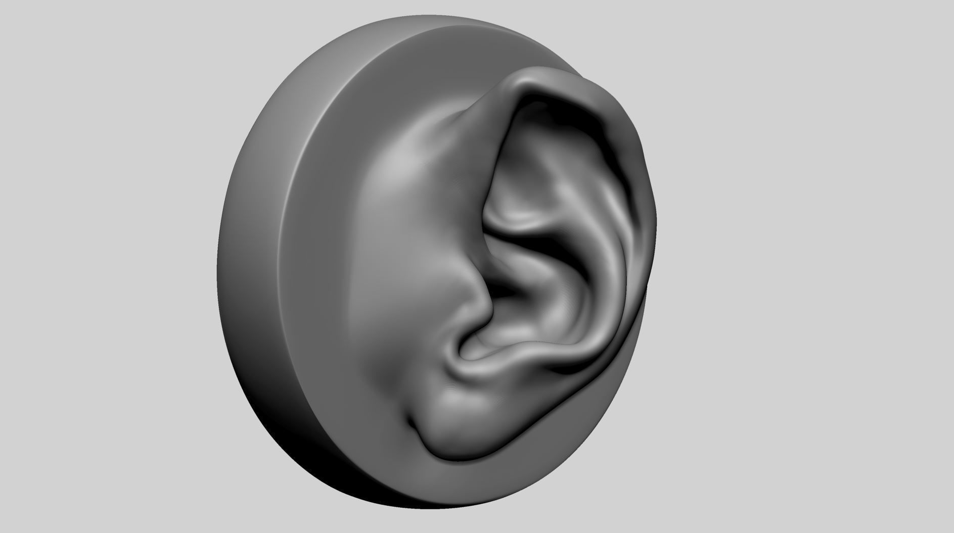 Ear Model with Different Types 3D model_8