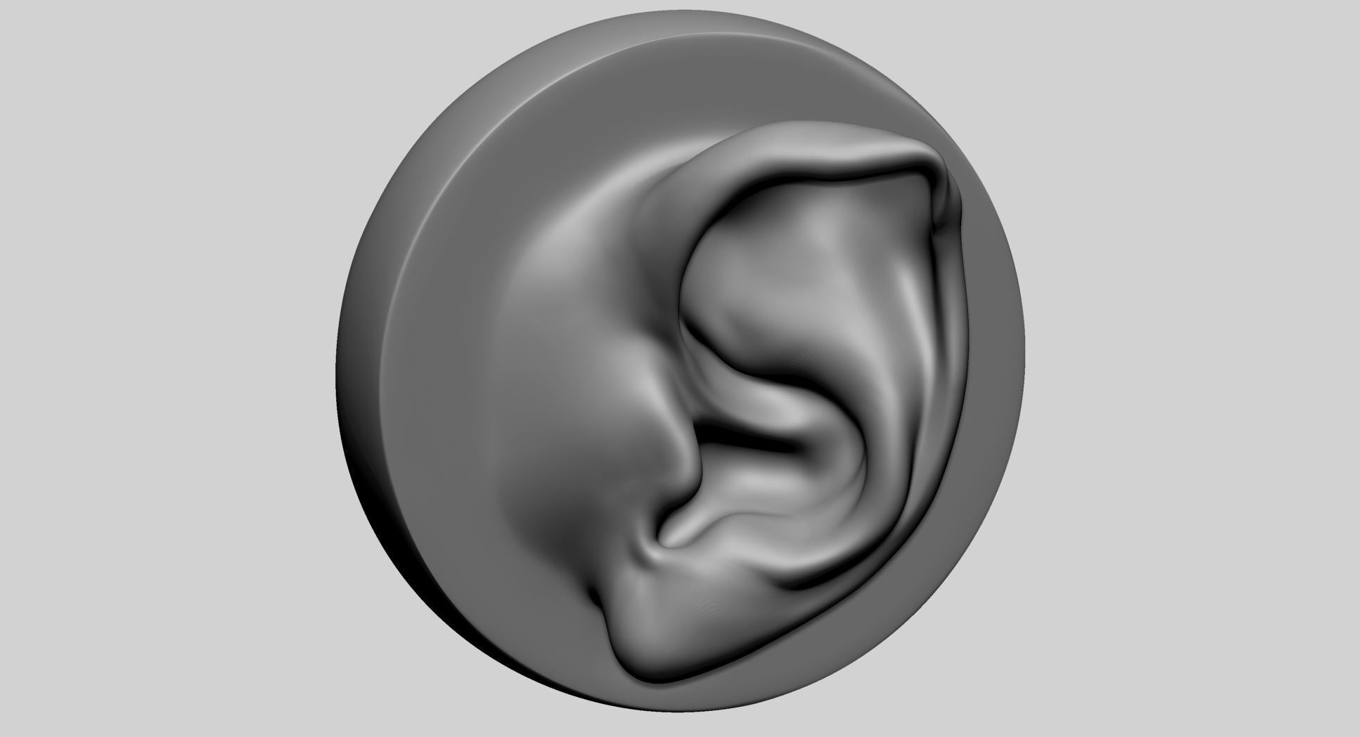 Ear Model with Different Types 3D model_9