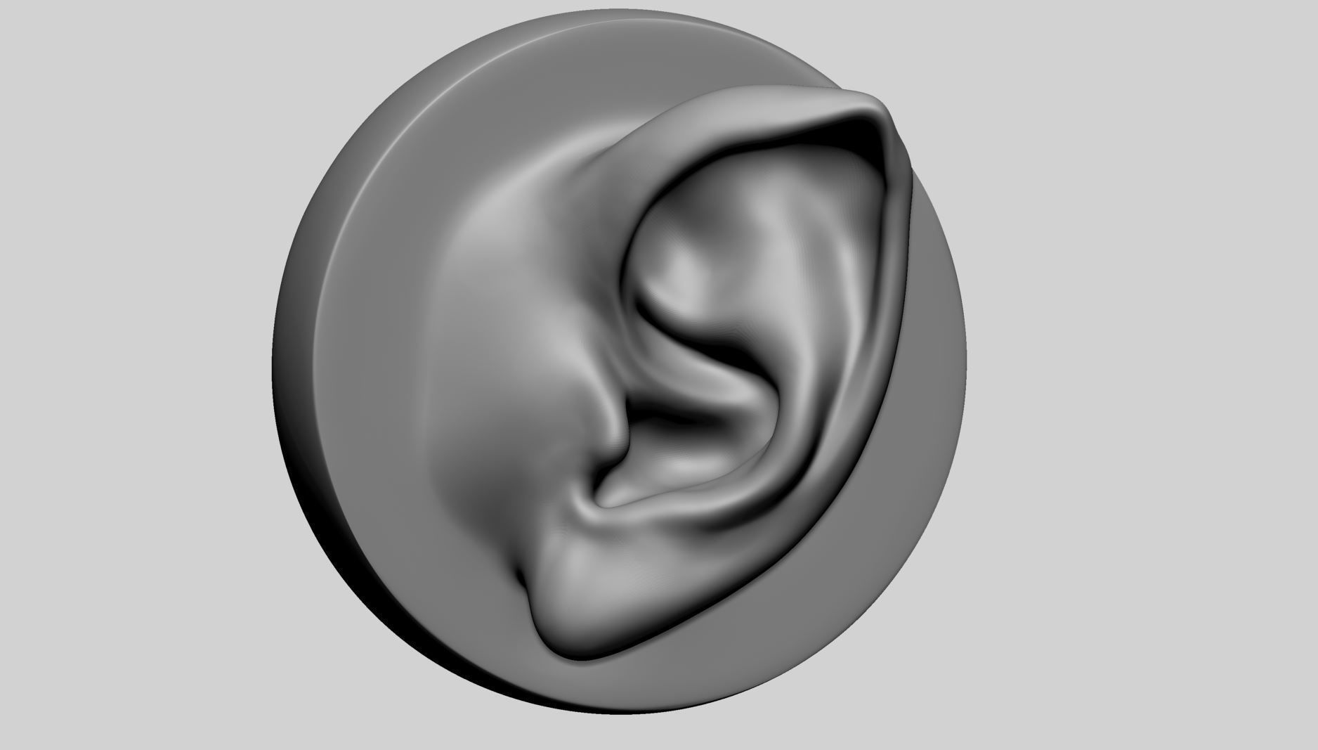 Ear Model with Different Types 3D model_6