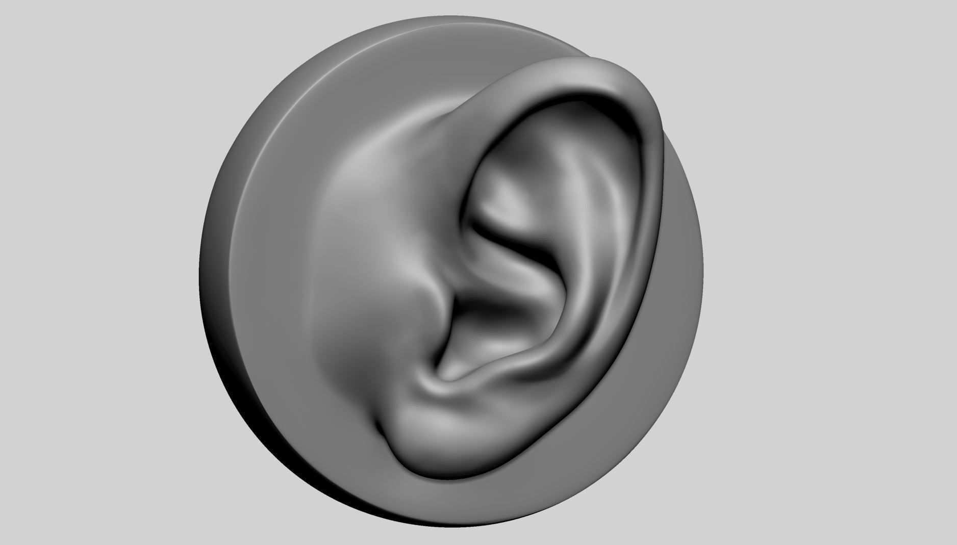 Ear Model with Different Types 3D model_1
