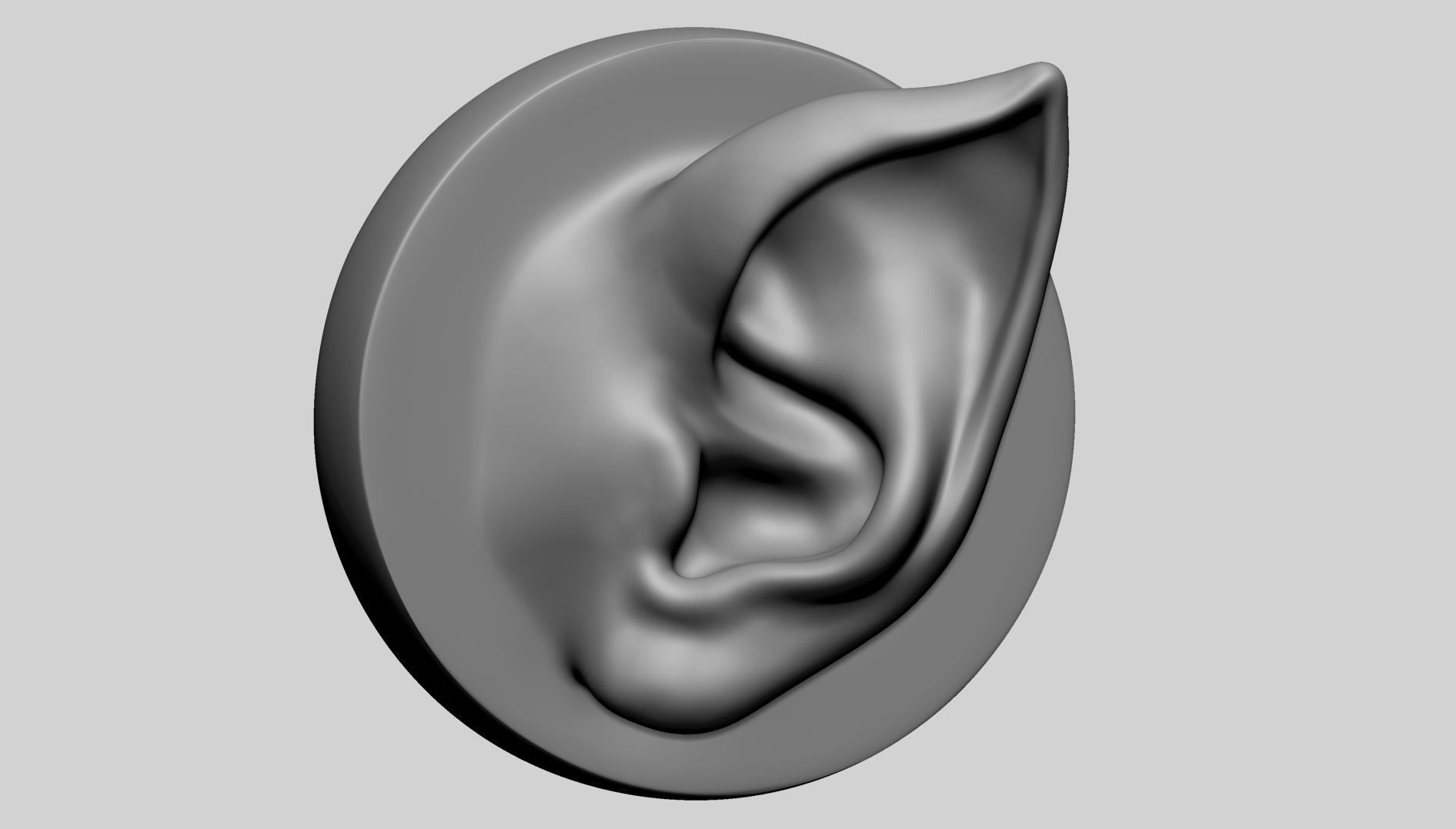 Ear Model with Different Types 3D model_2