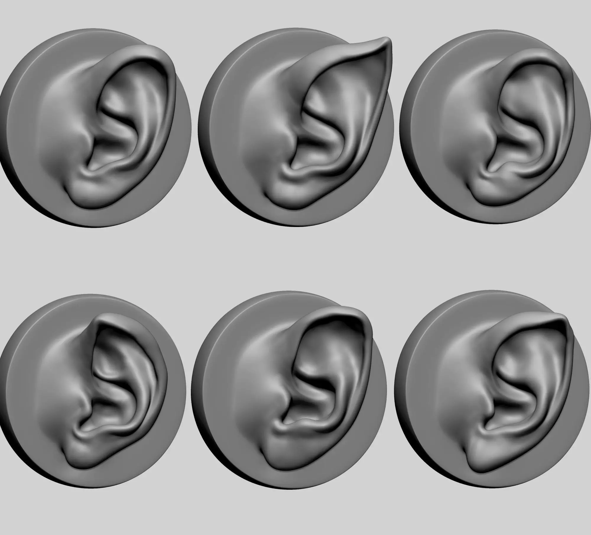 Ear Model with Different Types 3D model_0