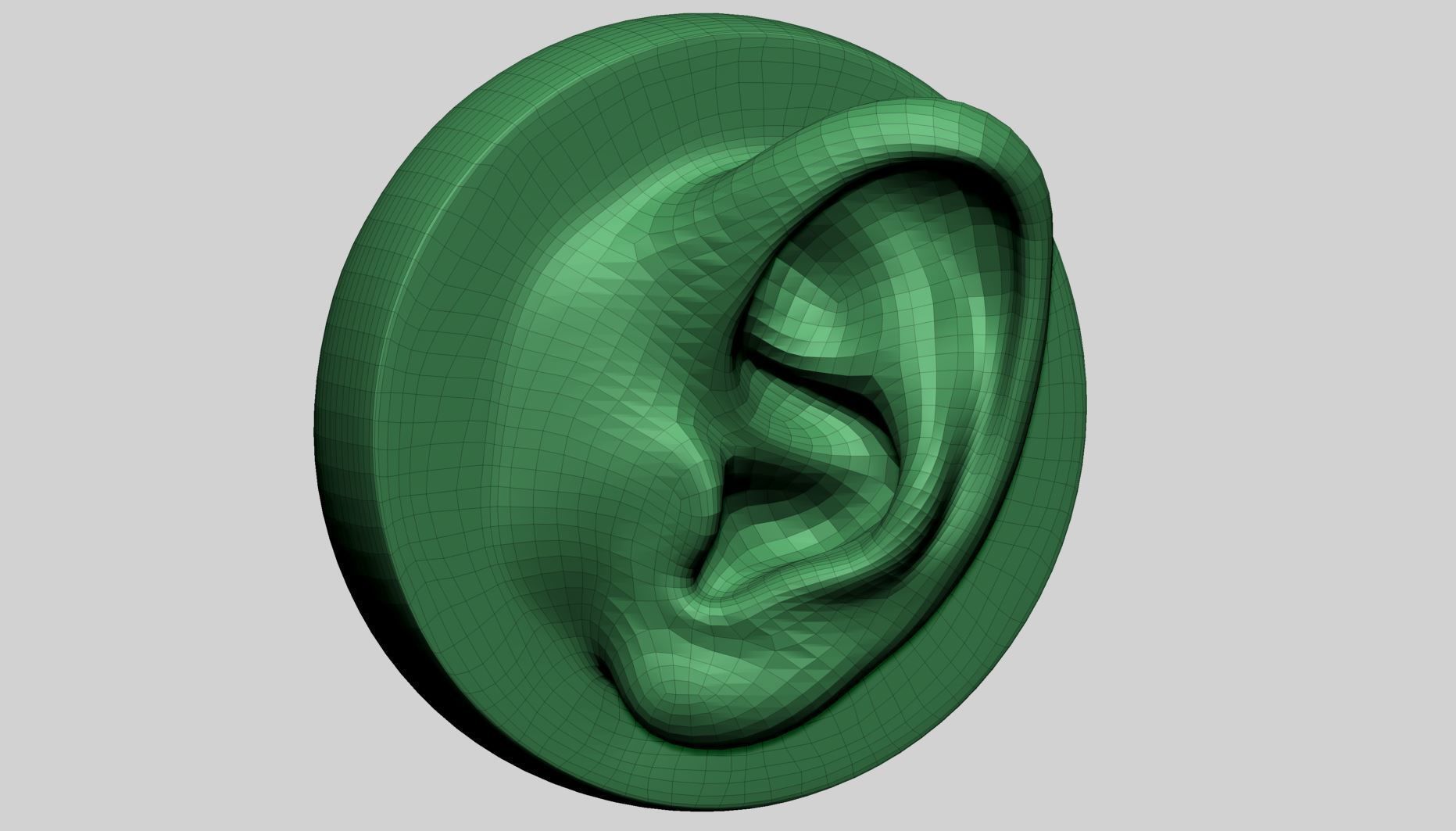 Ear Model with Different Types 3D model_10