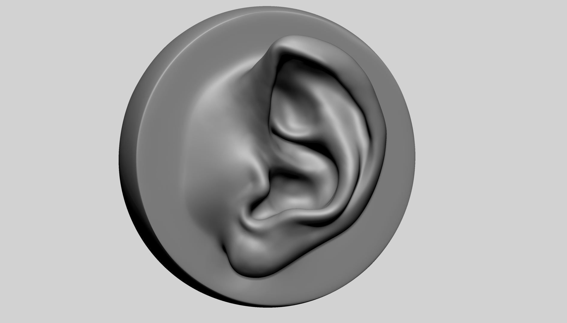 Ear Model with Different Types 3D model_4