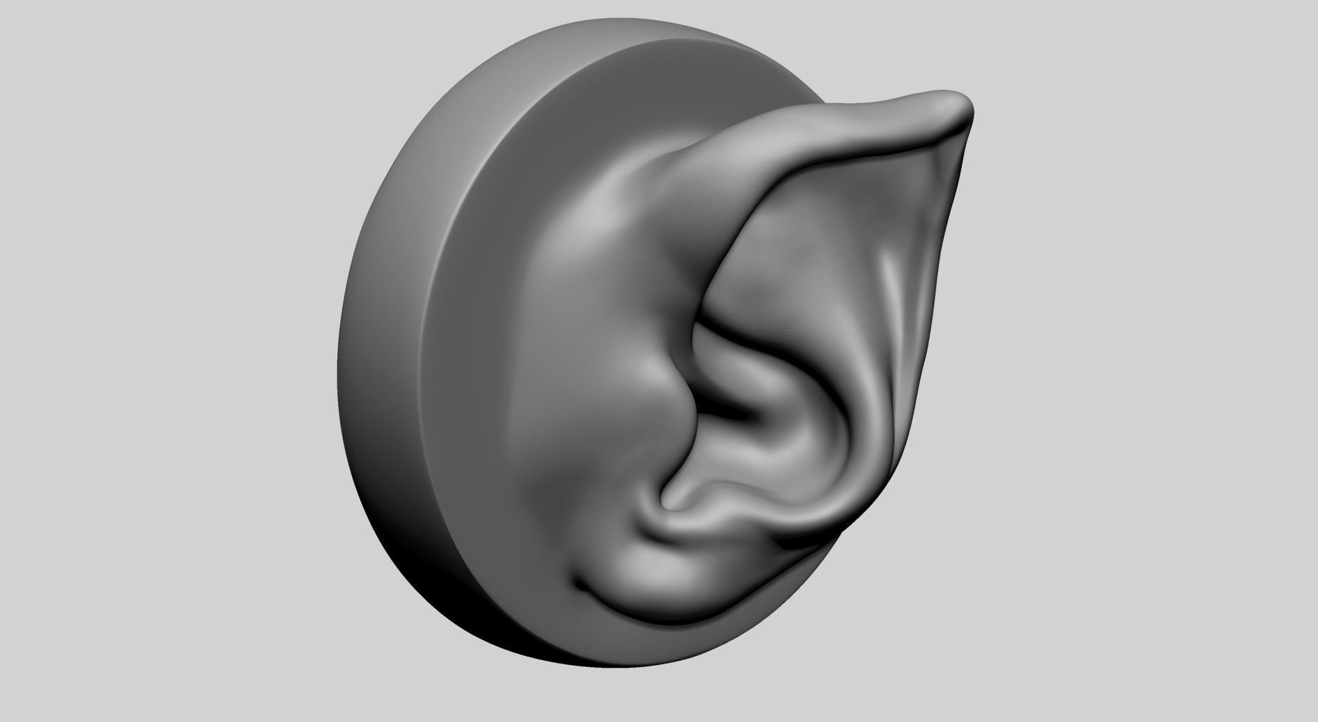 Ear Model with Different Types 3D model_7