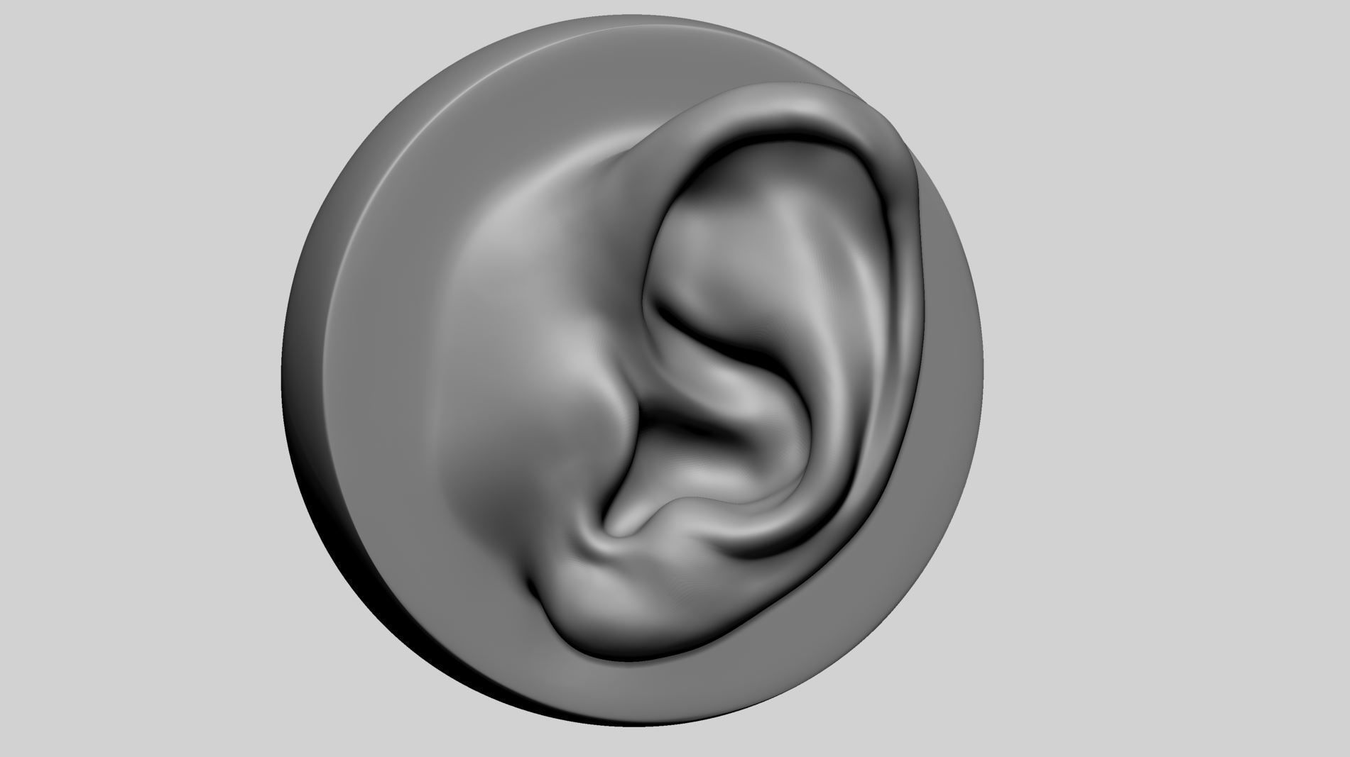 Ear Model with Different Types 3D model_3