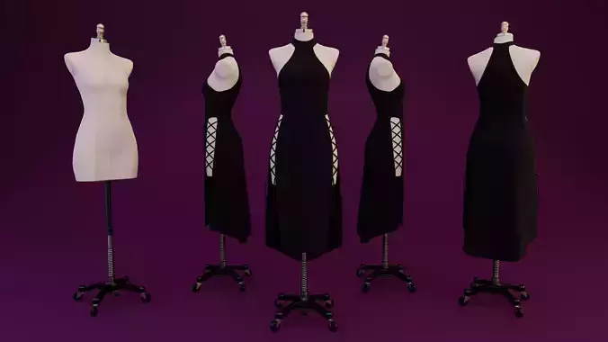 Evening Dress on Dress Form 3D model