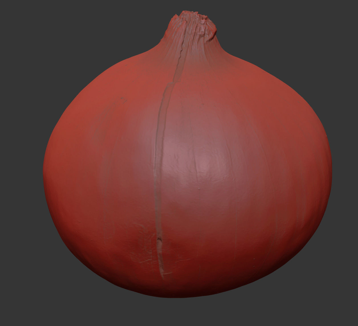 Onion 3D model_7