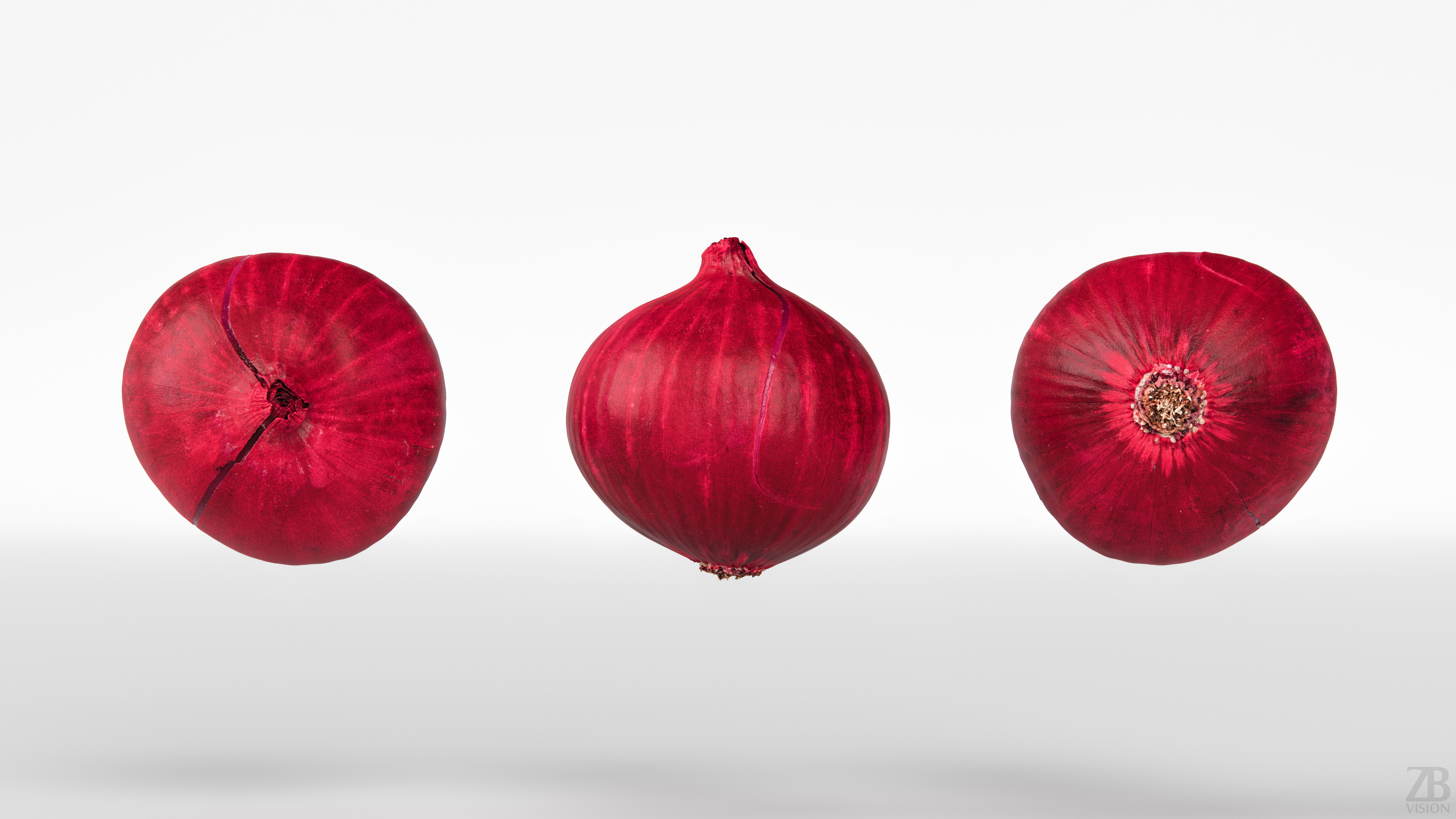 Onion 3D model_4