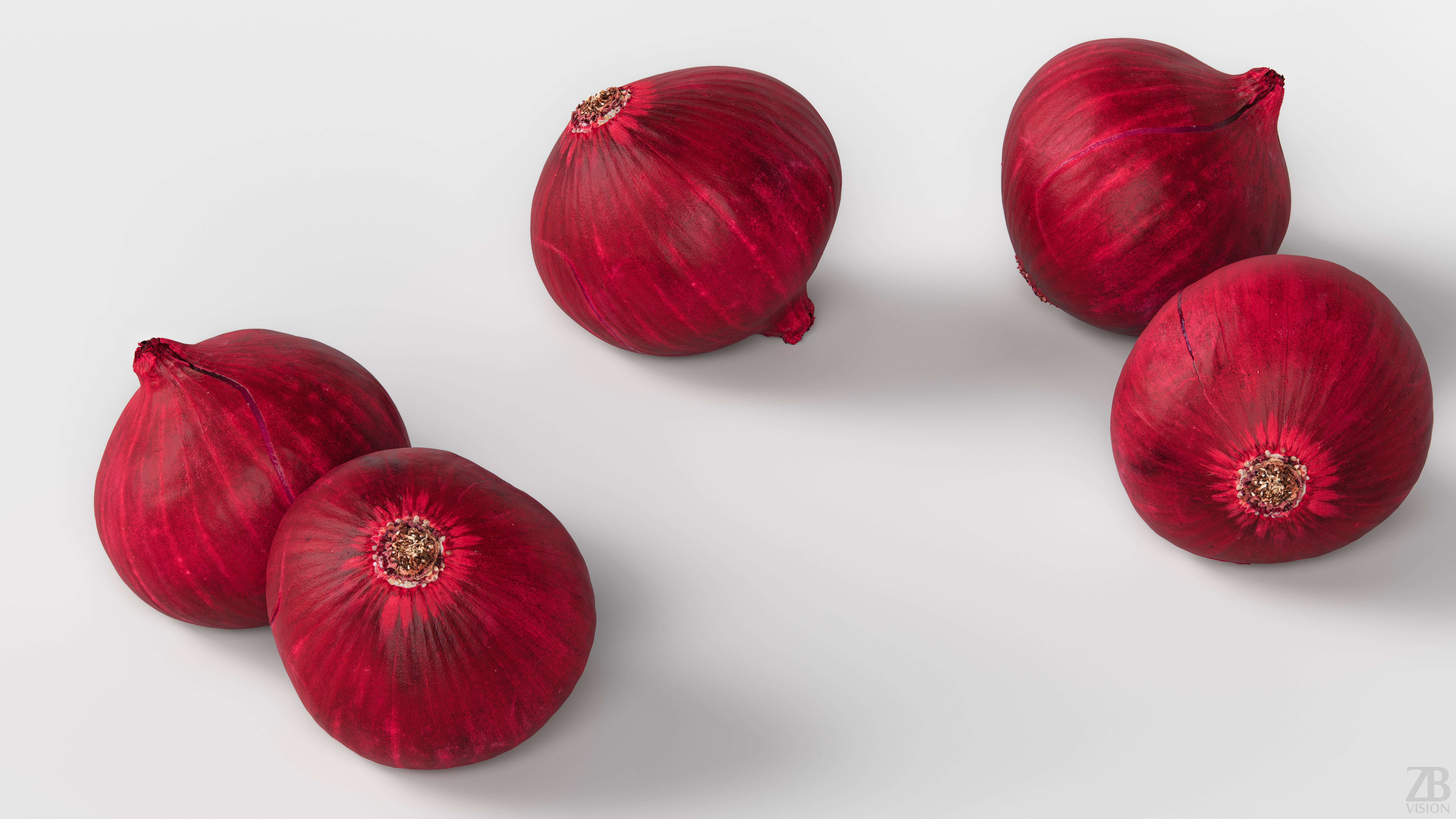 Onion 3D model_2