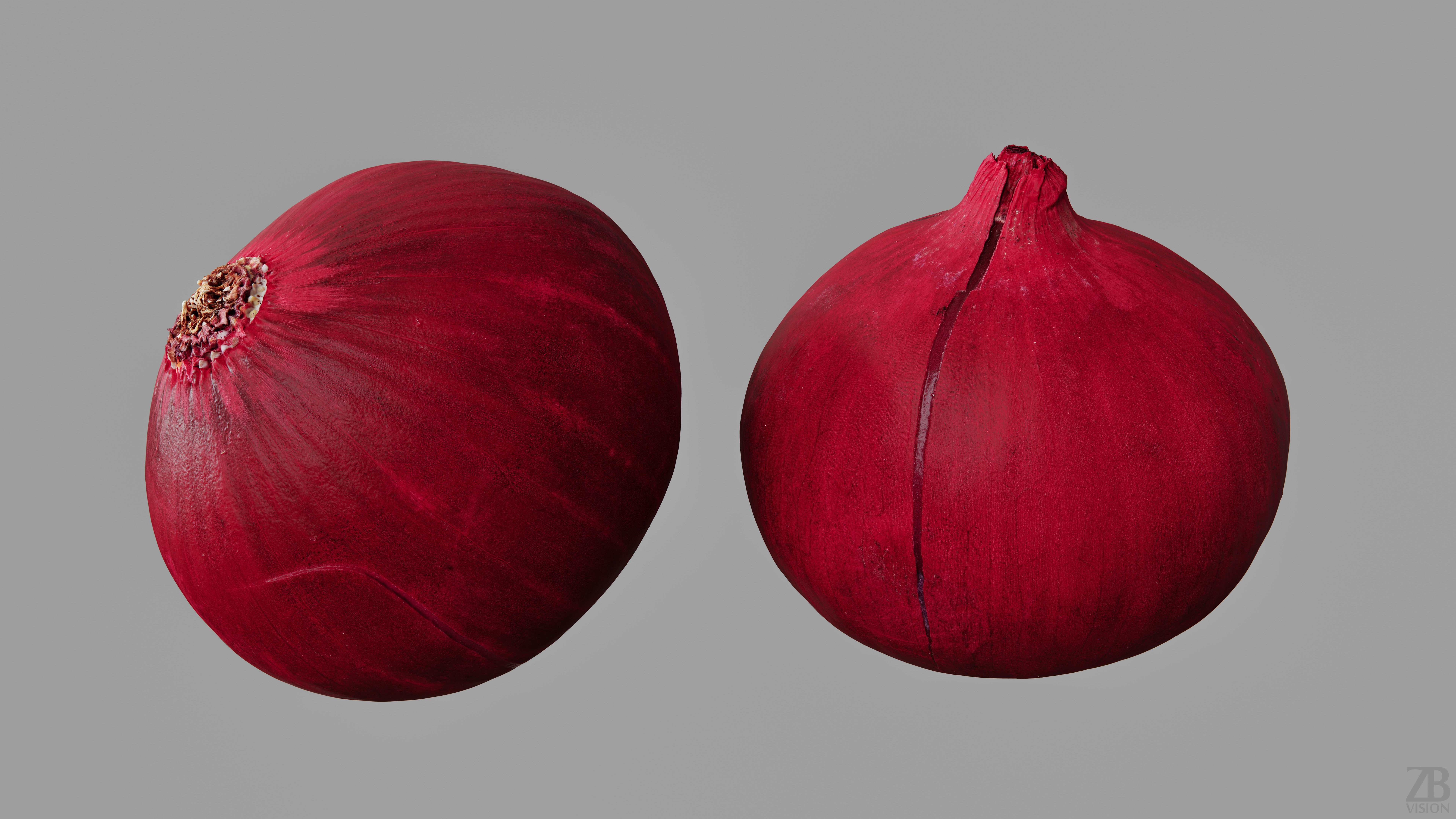 Onion 3D model_9