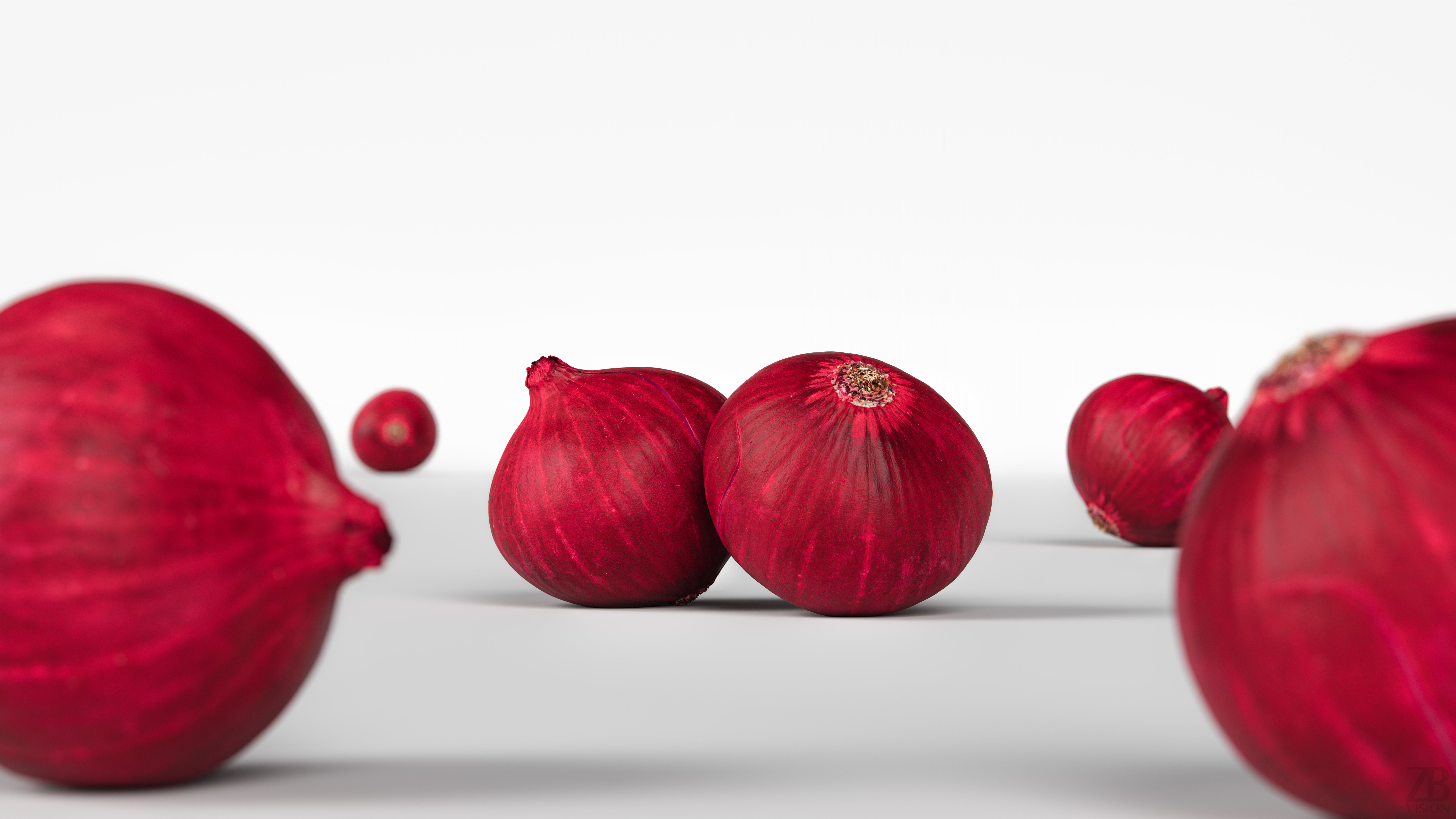 Onion 3D model_1