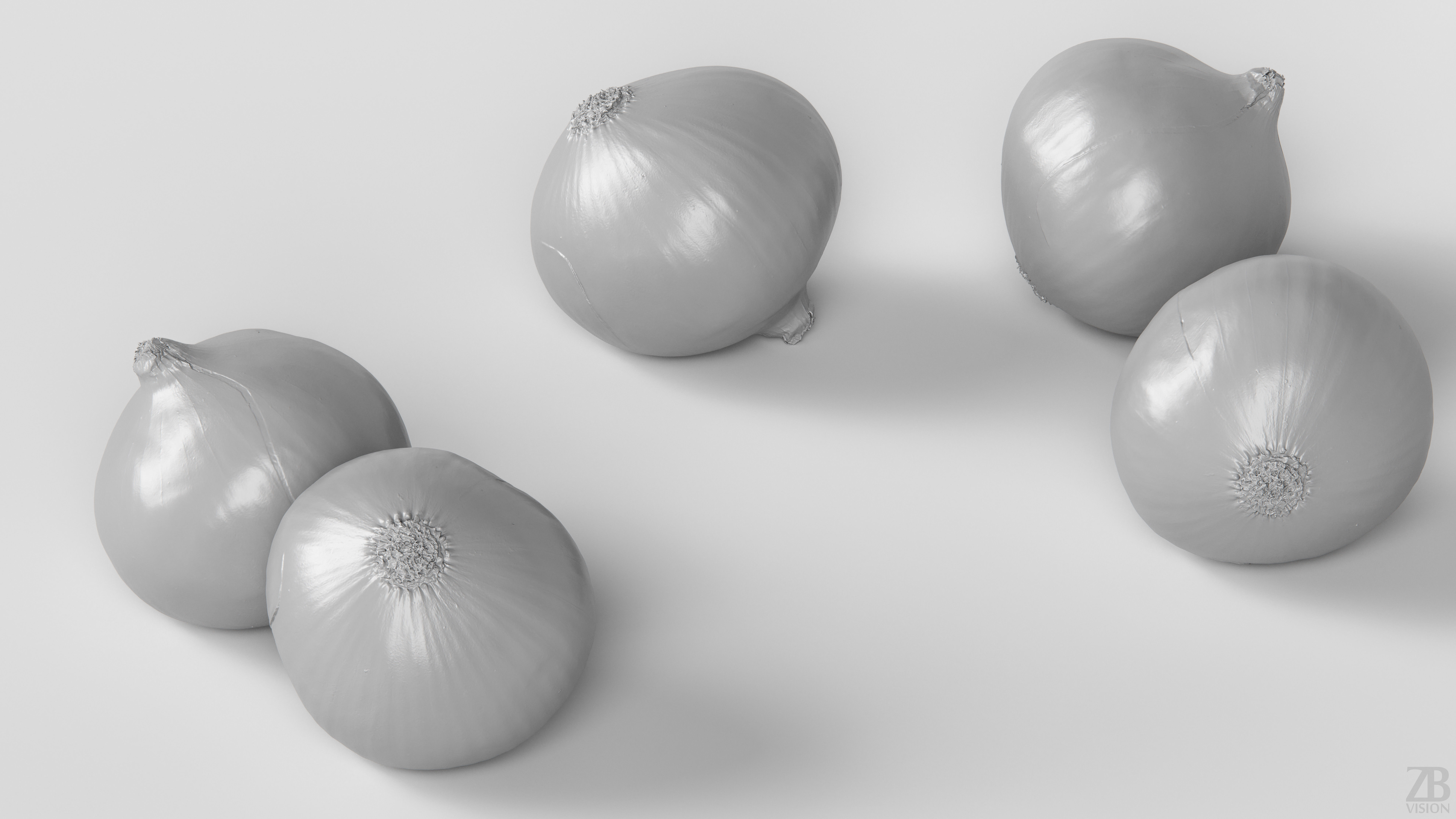 Onion 3D model_3