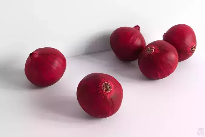 Onion 3D model