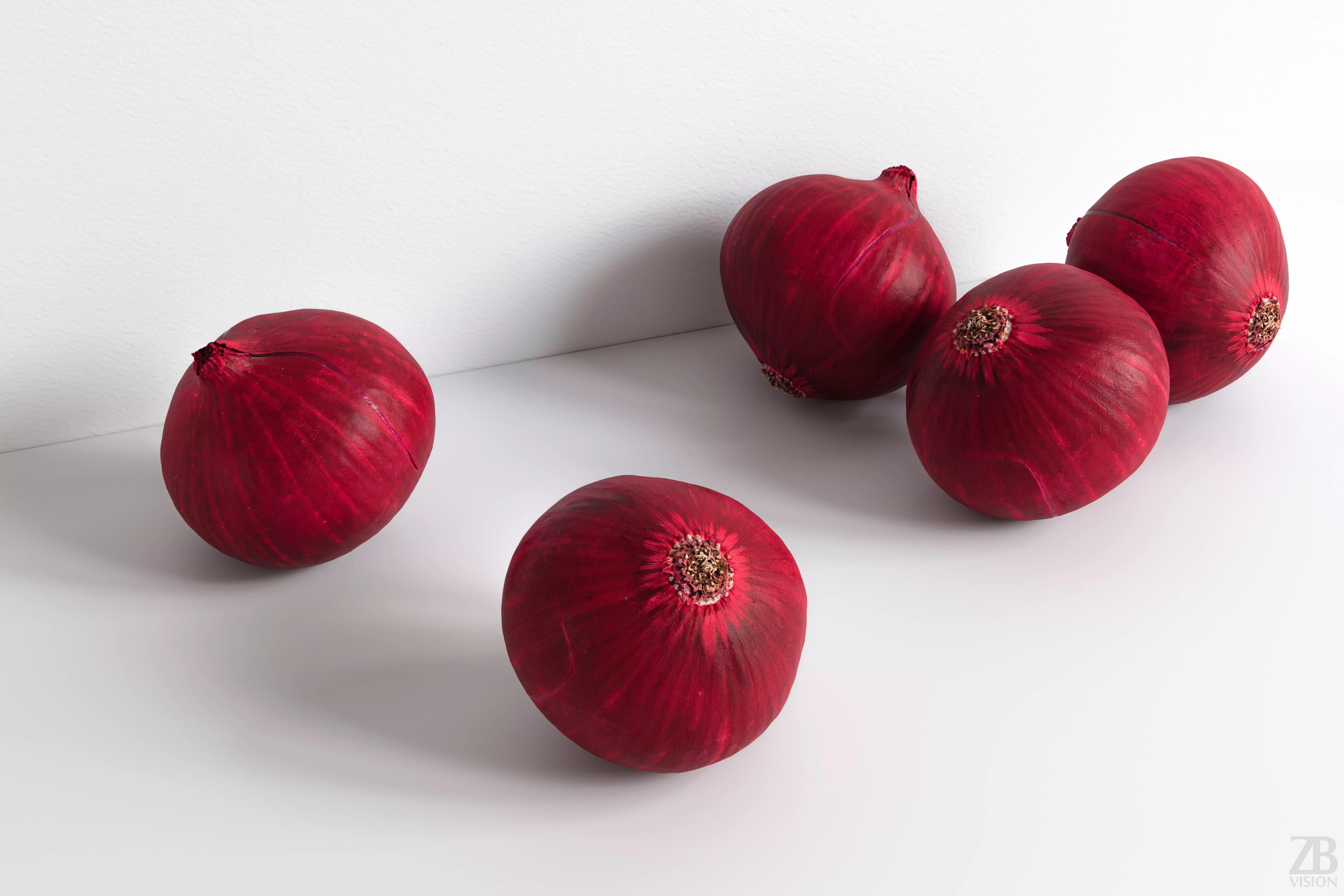 Onion 3D model_0