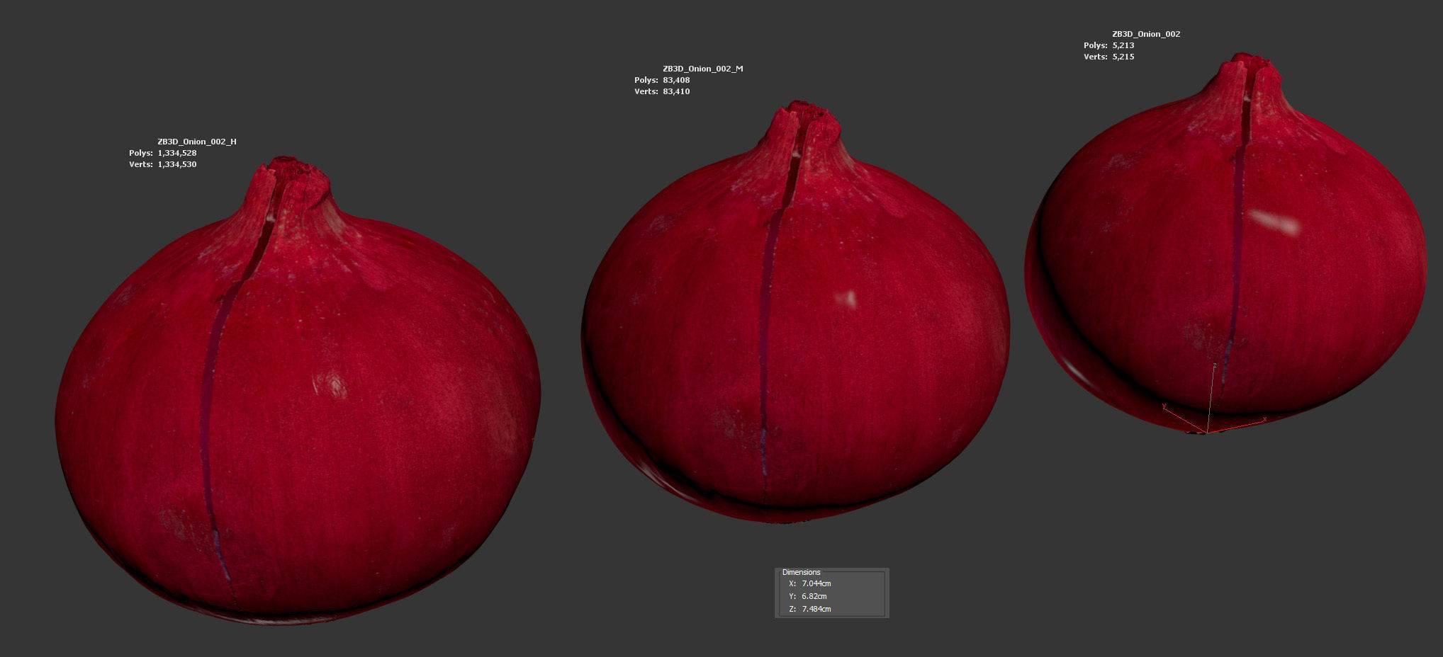 Onion 3D model_5