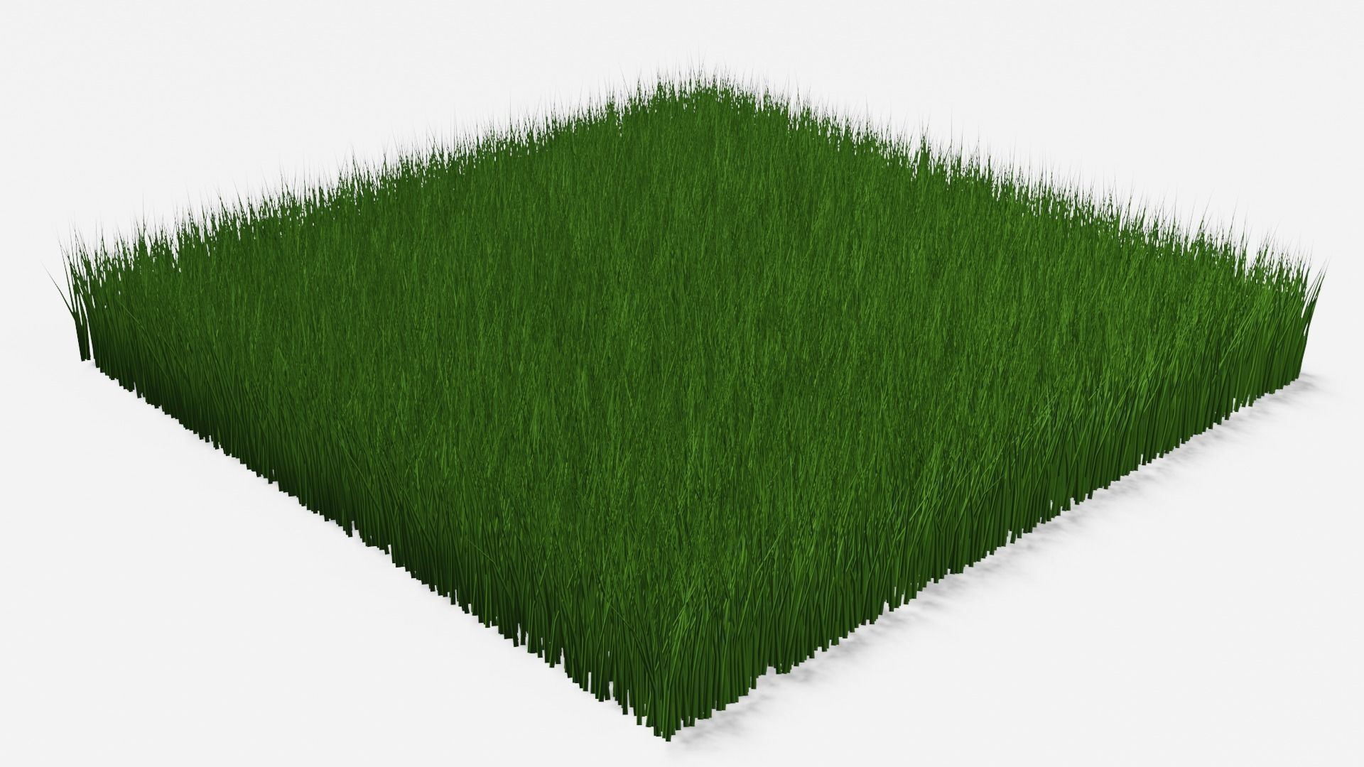 Green Grass 3D Model Low-poly 3D model_1
