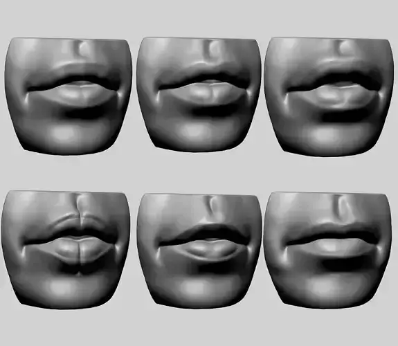 Lip Model with Different Types 3D model