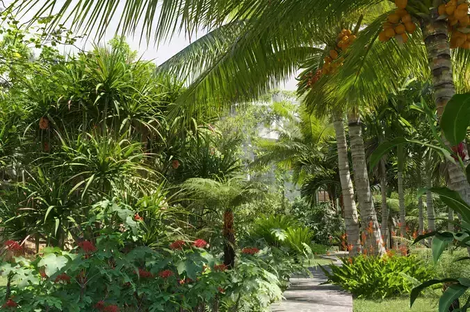 Collection 27 - Tropical garden