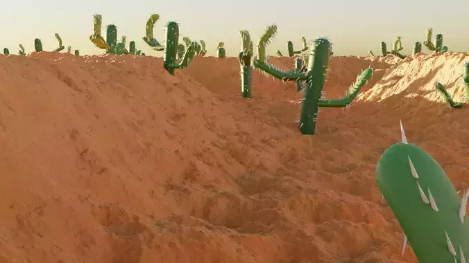 Desert in cactus