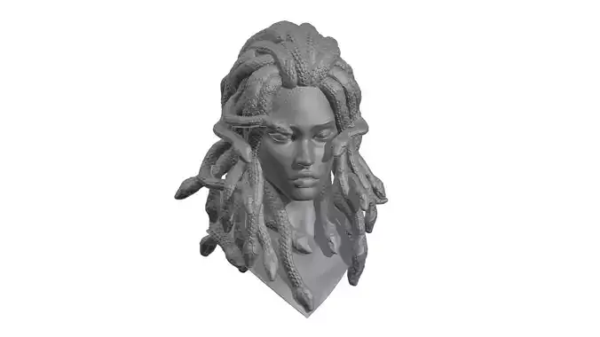 Medusa Head