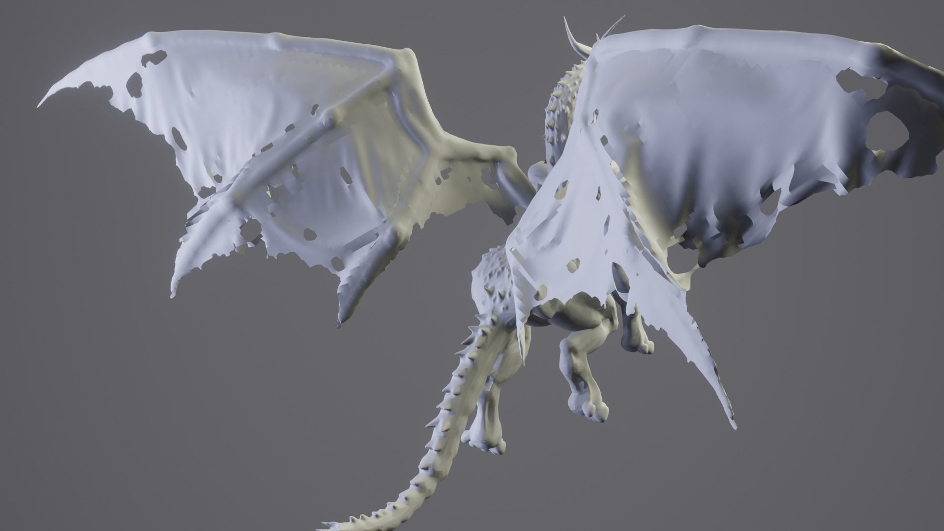 Dragon Terrador 3D model_20