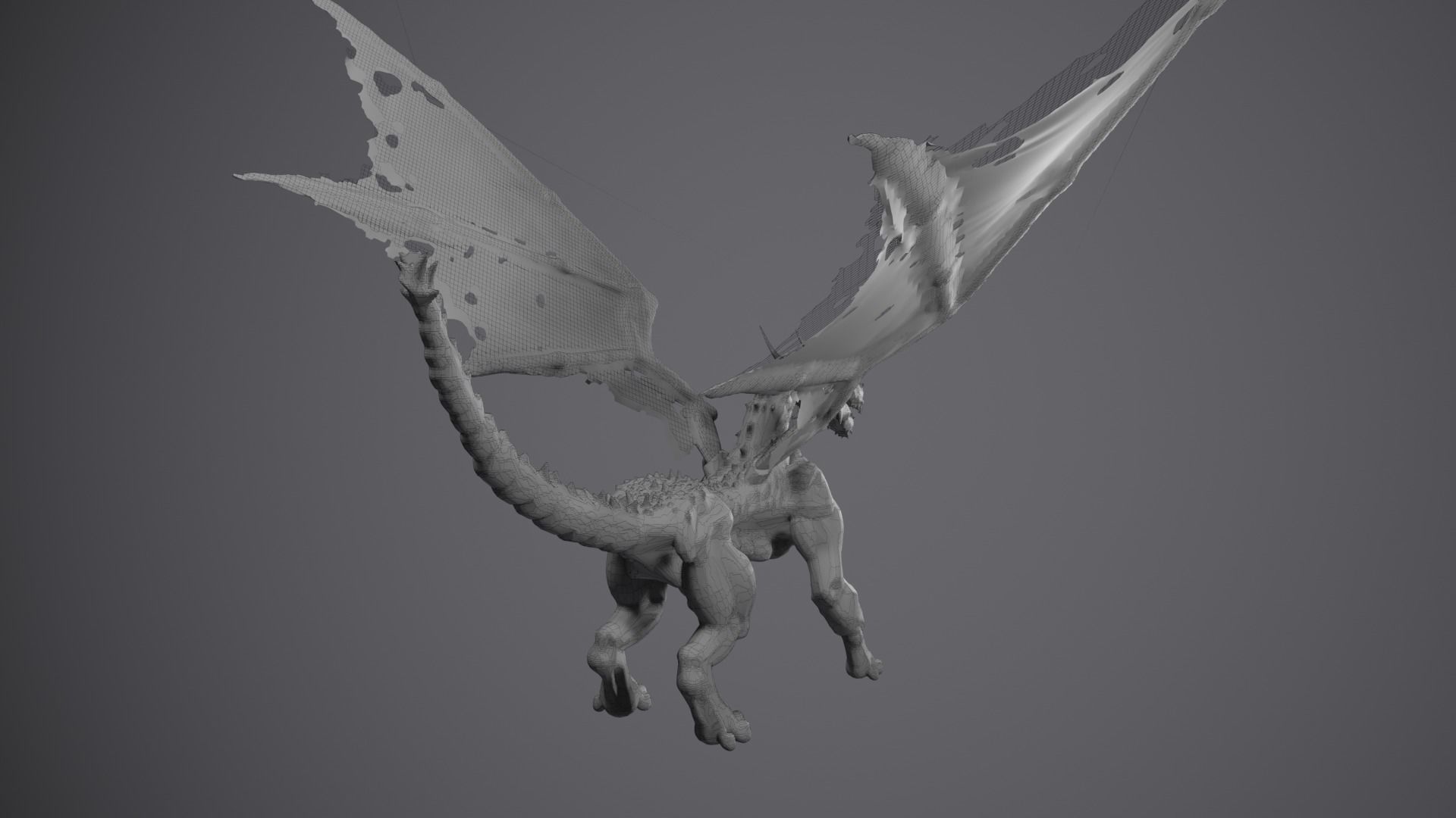Dragon Terrador 3D model_148