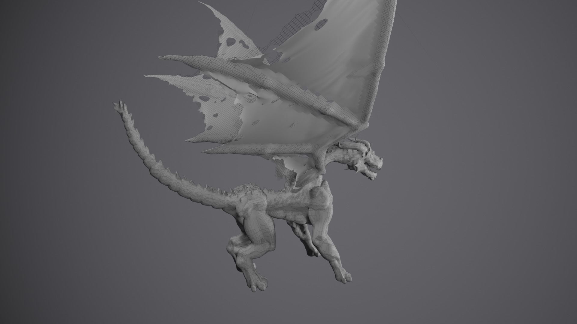 Dragon Terrador 3D model_149