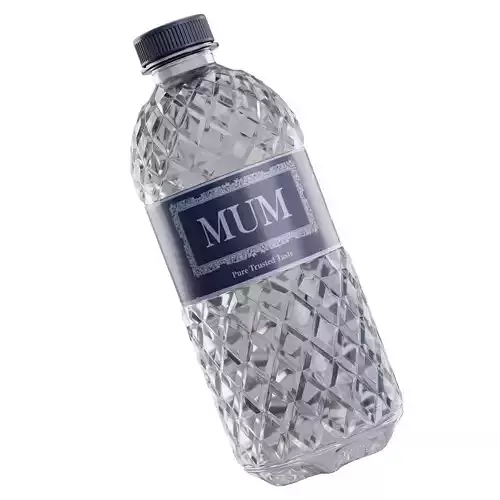 Mum Water Bottle 3D model