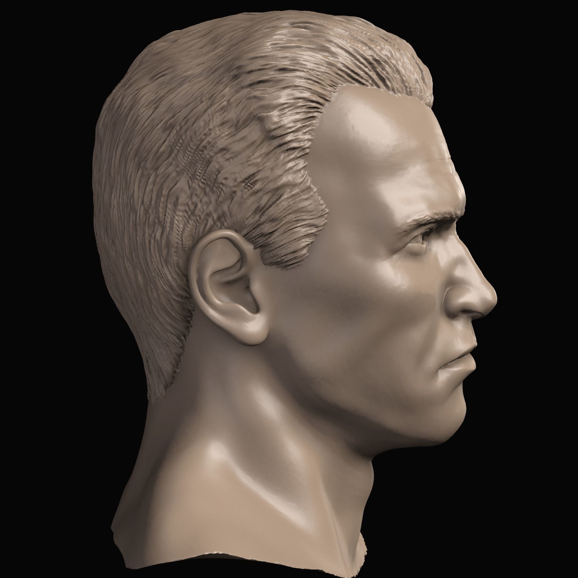 Arnold Shwarzenegger head 3D print model_6