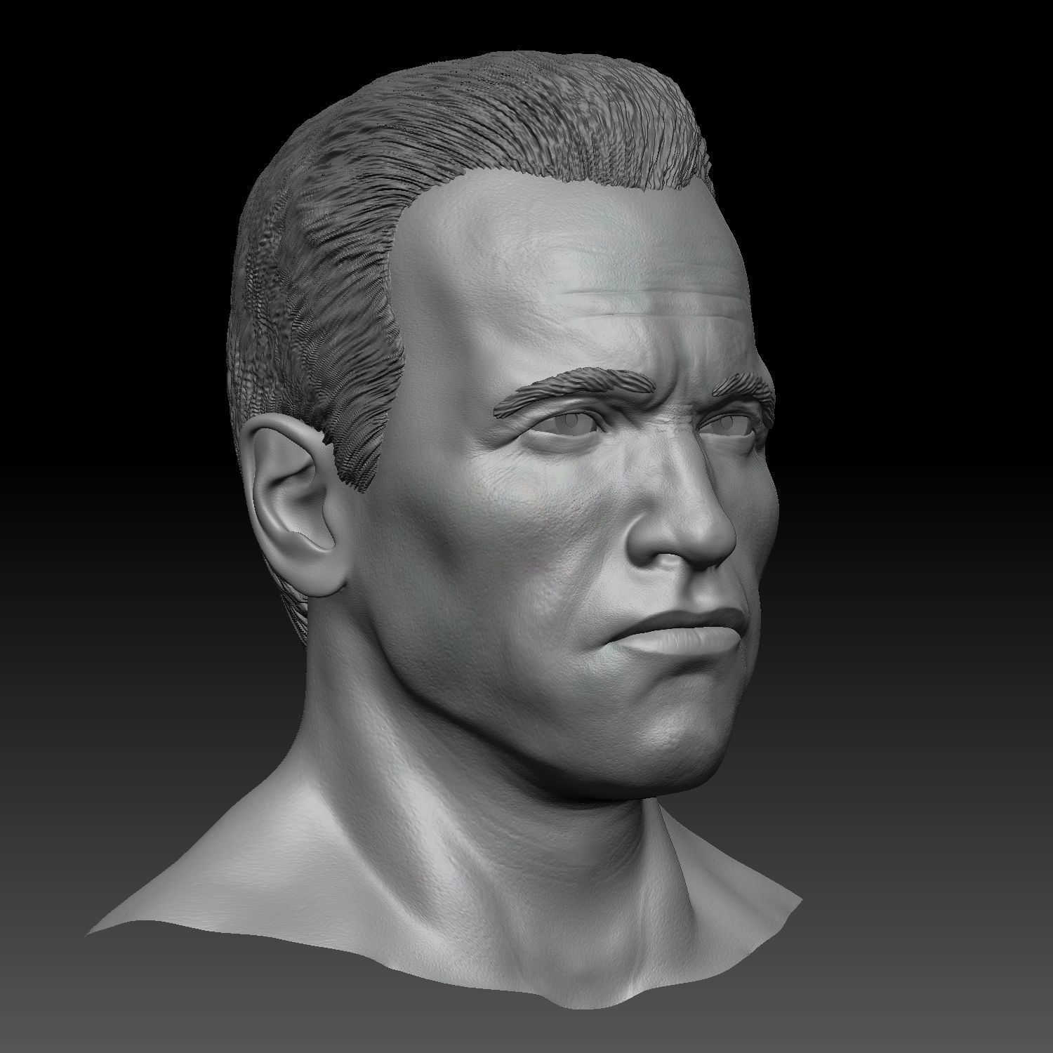 Arnold Shwarzenegger head 3D print model_3
