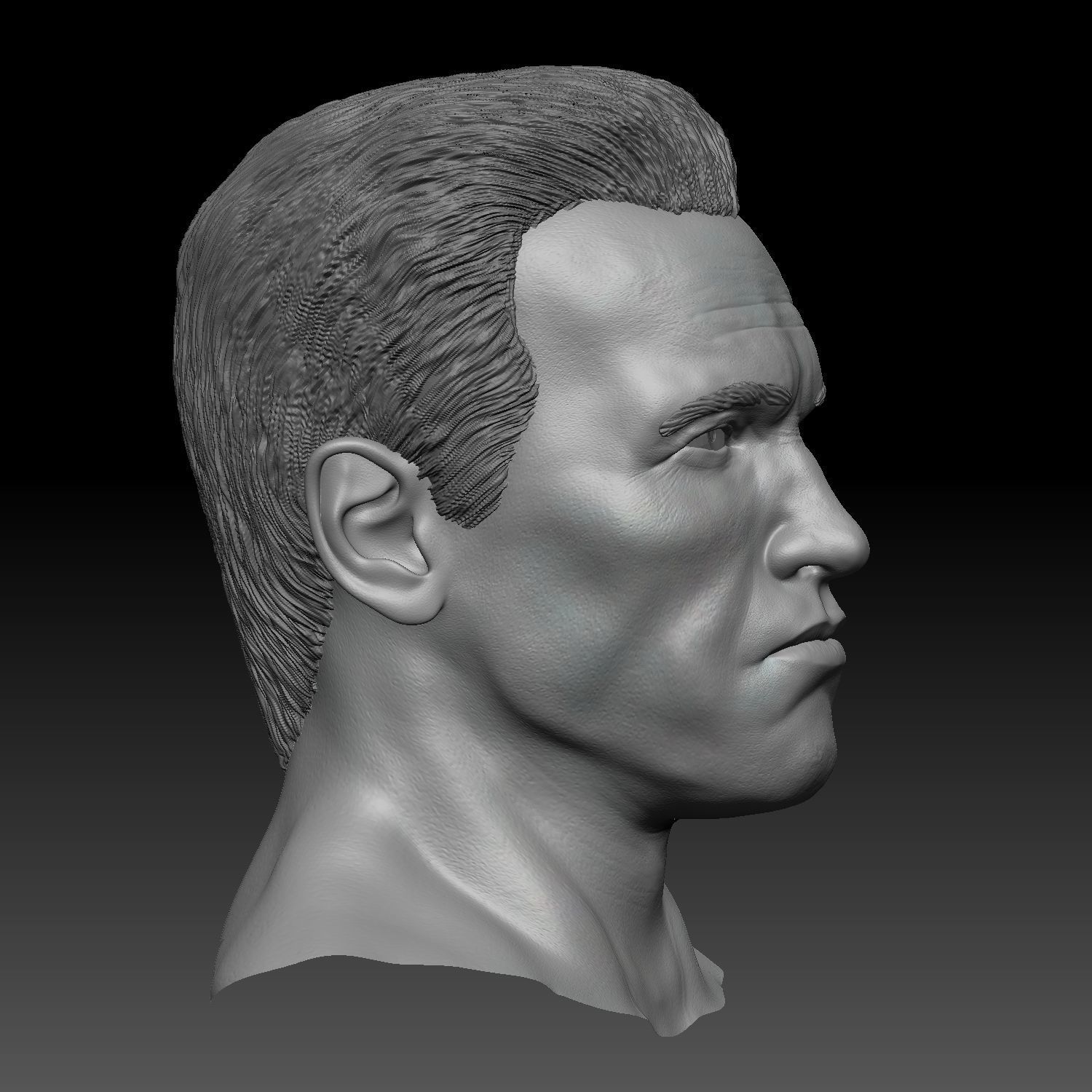 Arnold Shwarzenegger head 3D print model_2