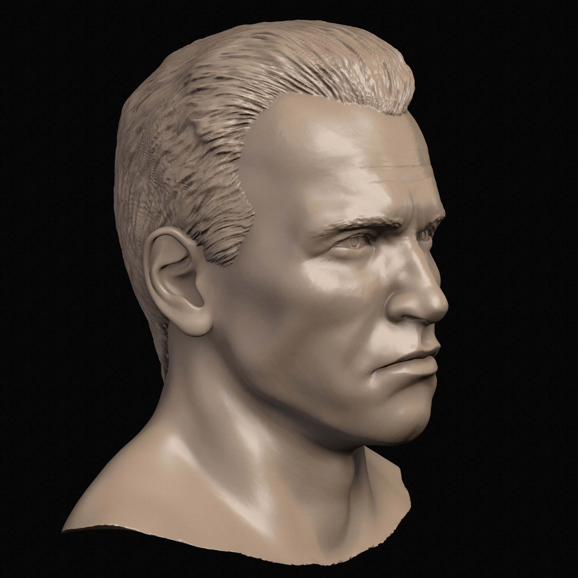 Arnold Shwarzenegger head 3D print model_5