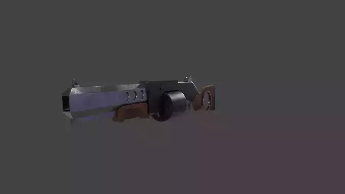 Rifle-Shotgun gun